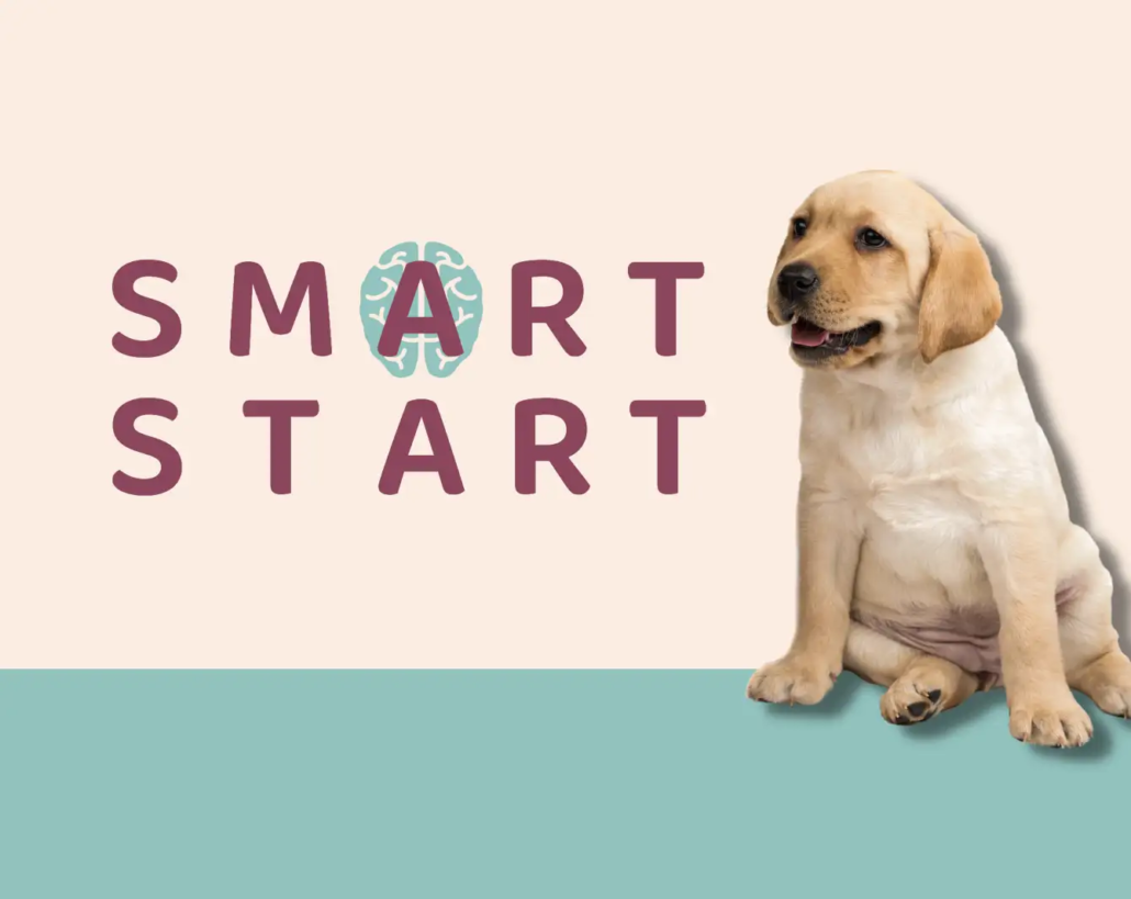 Smart start hvalpeprogram
