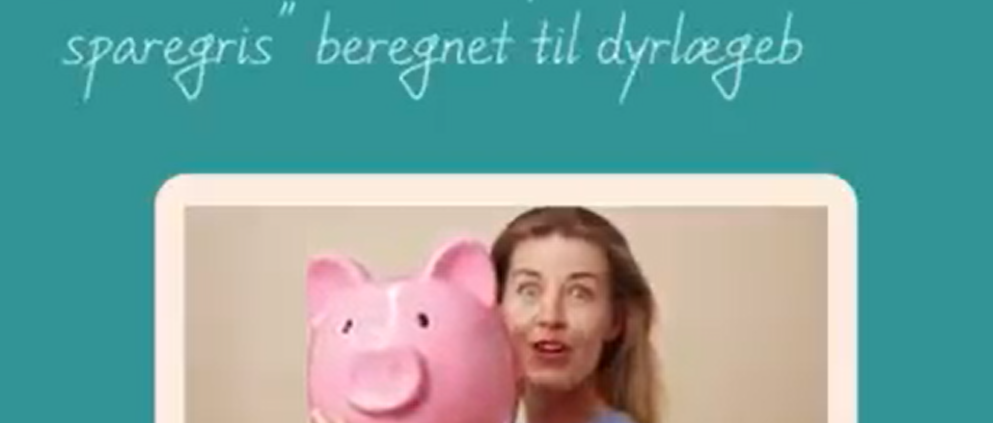 Hvor meget har du puttet i din hvalps sparegris?