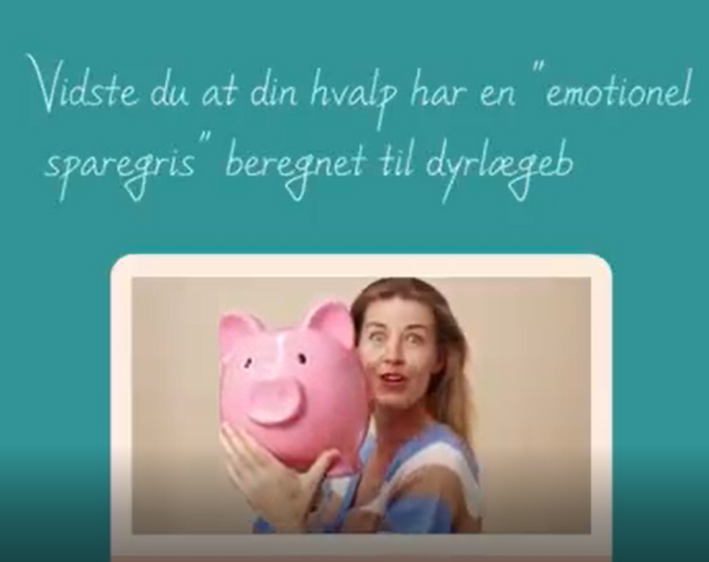Hvor meget har du puttet i din hvalps sparegris?