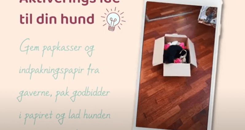 Aktiverings ide til din hund