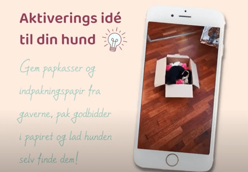 Aktiverings ide til din hund