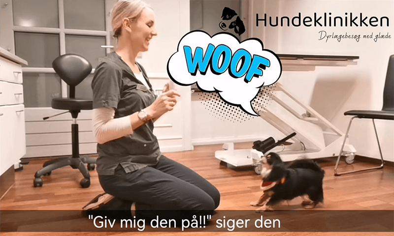 hunde lampeskærmen
