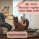 Hundeklinikken vaccination
